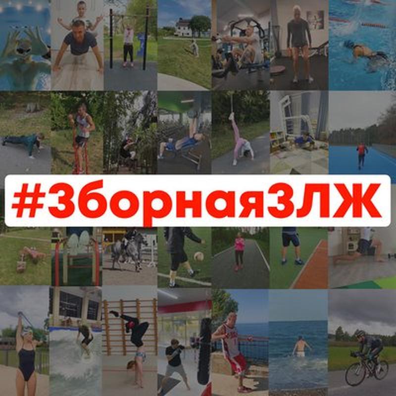 #зборнаязлж cover art