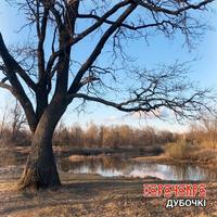 Дубочкі cover