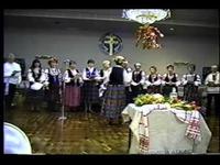 Хор беларусаў Кліўлэнду, ЗША — «Колькі ў небе зор» cover art