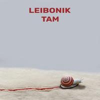 Biełarusami cover