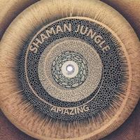 Amazing cover