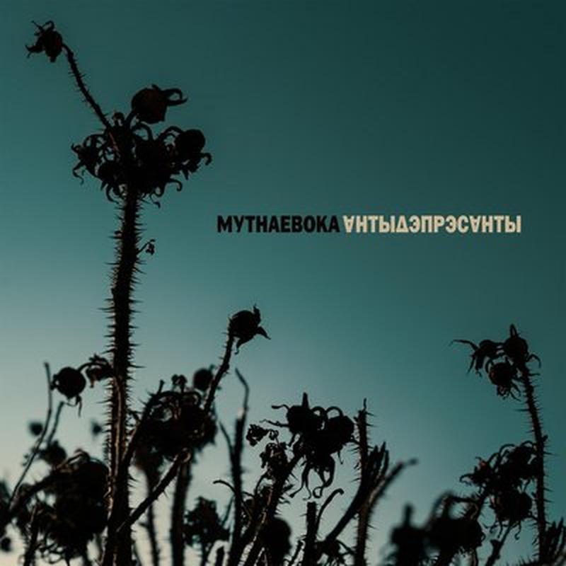 Каласы cover art