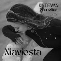 Niaviesta cover