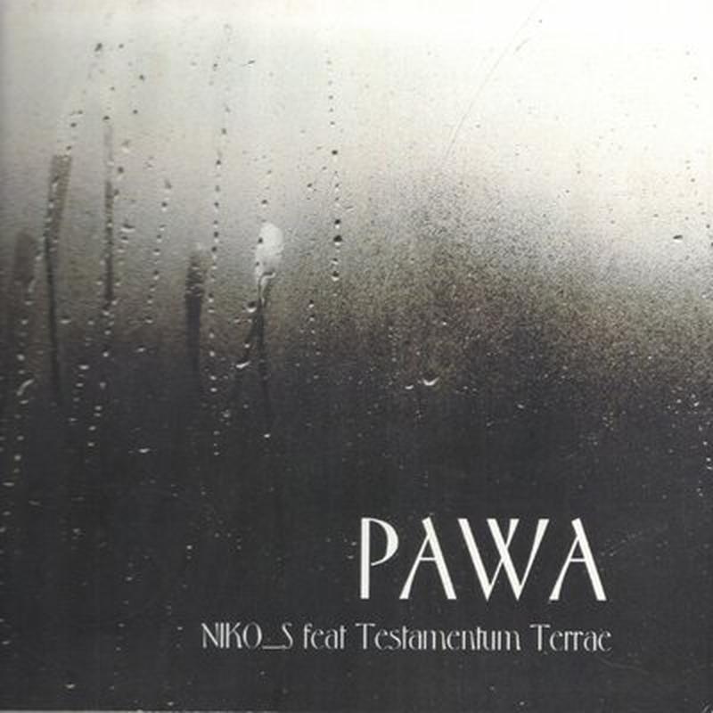Па саду cover art