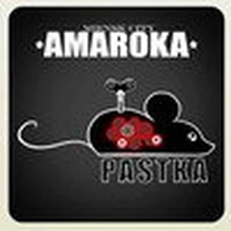 Замятае зіма cover art