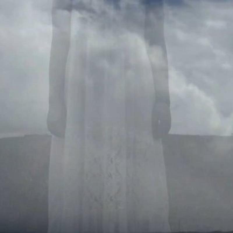 Белы cover art