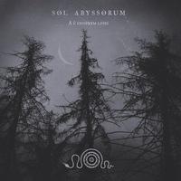 A Ŭ Ciomnym Lesie cover