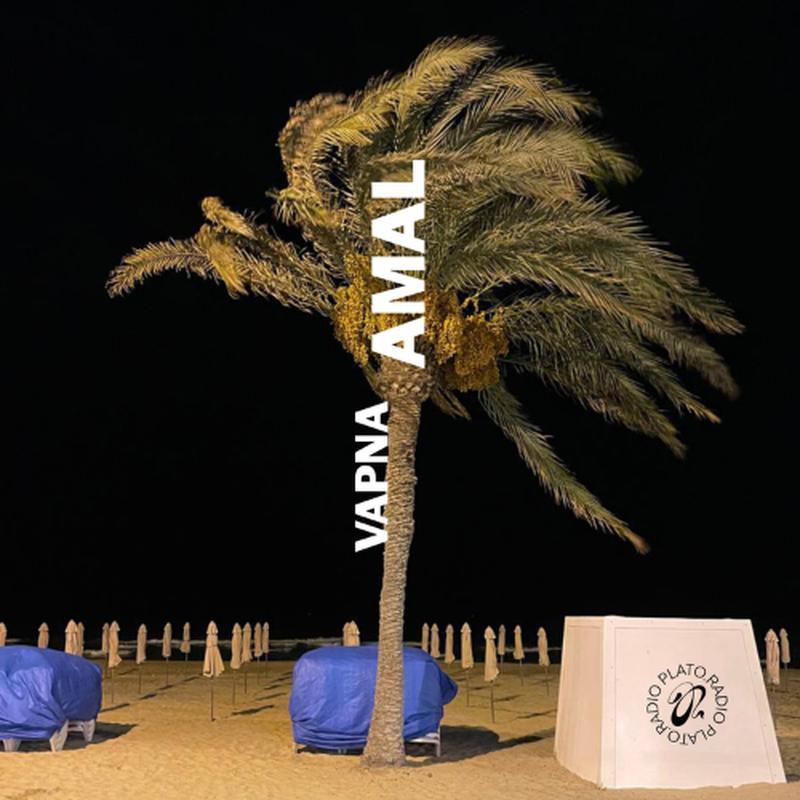 Amal LP cover art