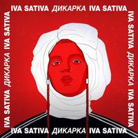 Дикарка cover