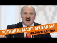 Шалудзівыя, пузатыя, пражжонная і храк | Шелудивые, пузатые, прожжённые и хряк cover
