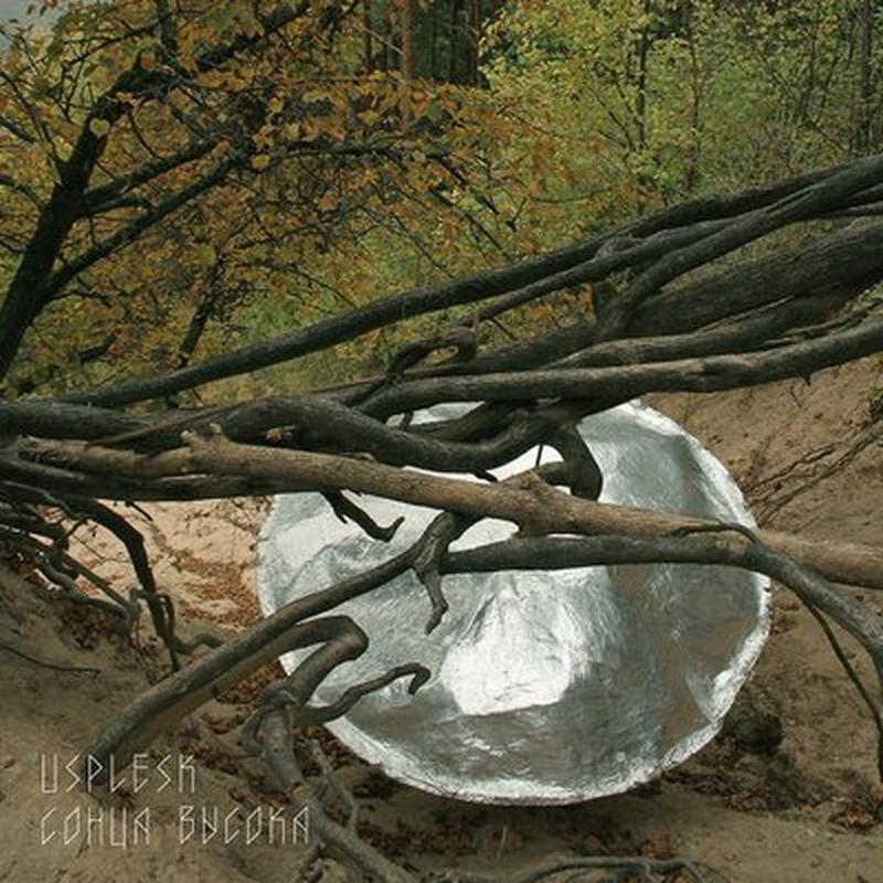 Цёк кляновы сок cover art