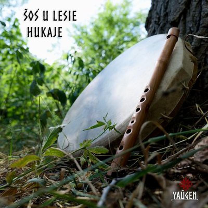 Šoś u lesie hukaje cover art