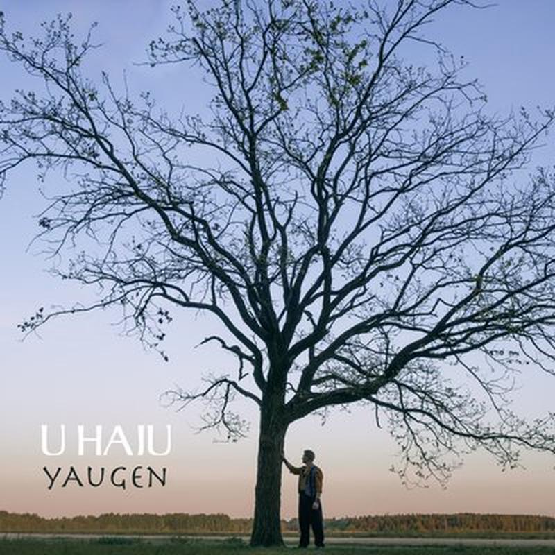 Sivy koń cover art