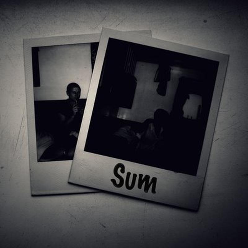 Sum cover art