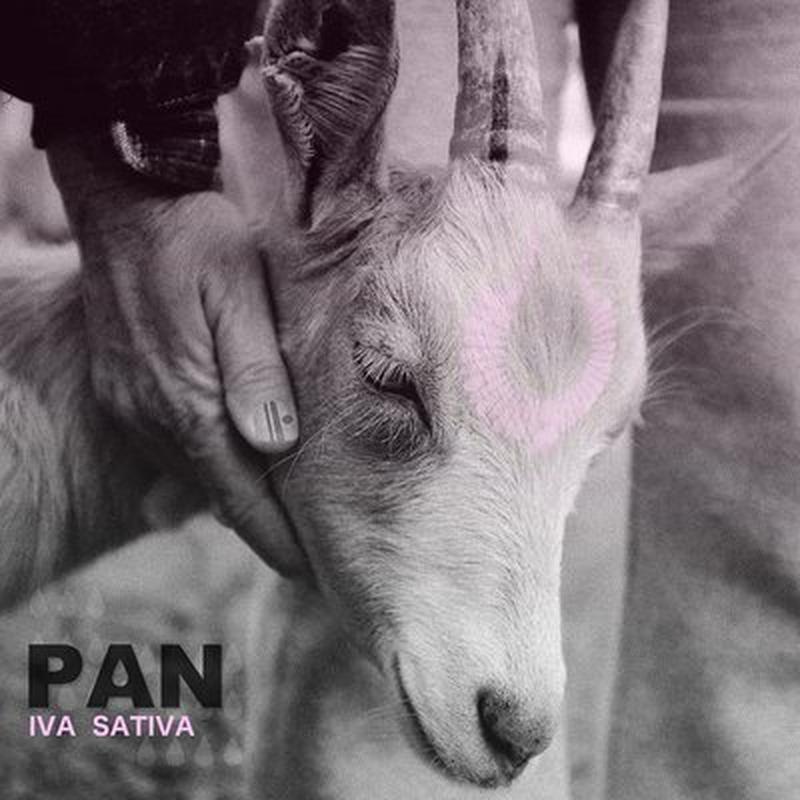 Pan cover art