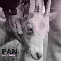 Pan cover