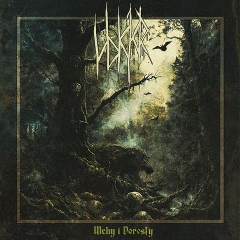 Mchy i Porosty - Dungeon Synth cover art