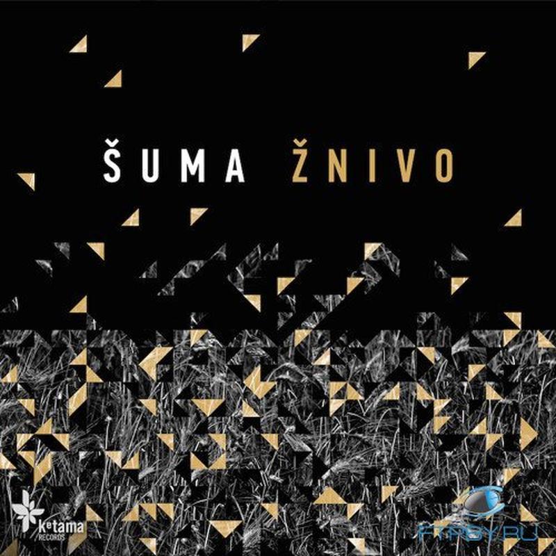 Пойду ды в лес cover art