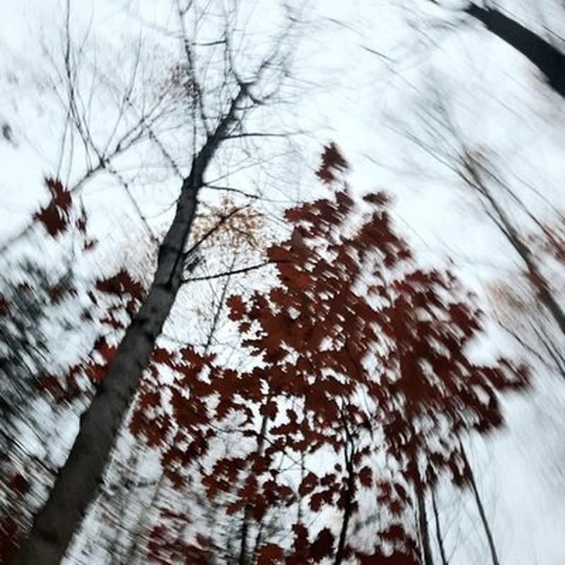 На поўнач cover art