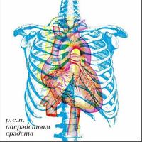 Пасрэдствам срэдств cover