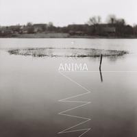 Anima cover