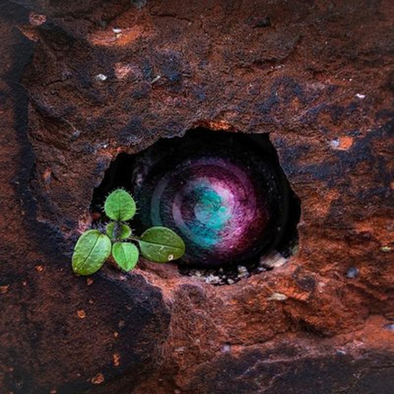 Палі свае стопы cover art