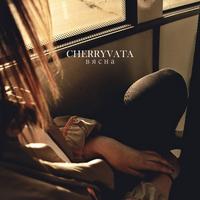 Vyasna cover