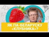 Клубніцы, трускаўкі, трускалкі? Як правільна? | Как по-беларусски «клубника»? cover