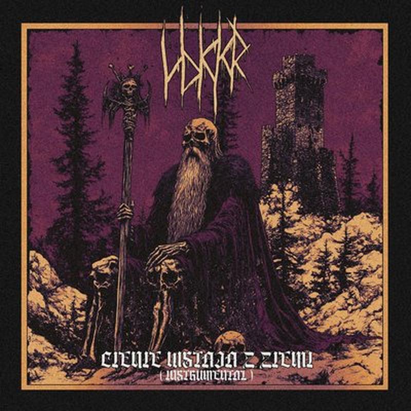 Cienie wstają z ziemi - Instrumental cover art