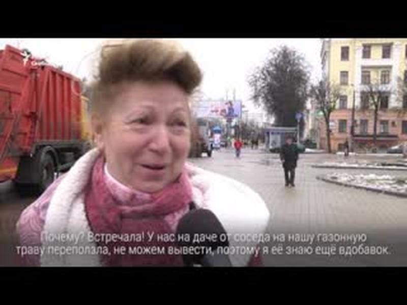 Што касіў Ясь? А як гэта па-расейску? | Что косил Ясь? А как это по-русски? cover art