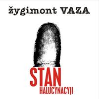 Stan halucynacyji cover