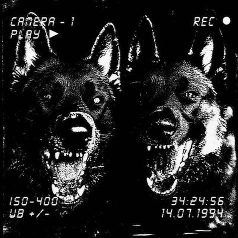 BANG THE SPEAKERS cover art