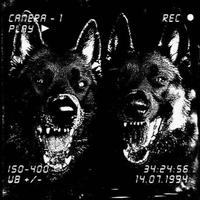 BANG THE SPEAKERS cover