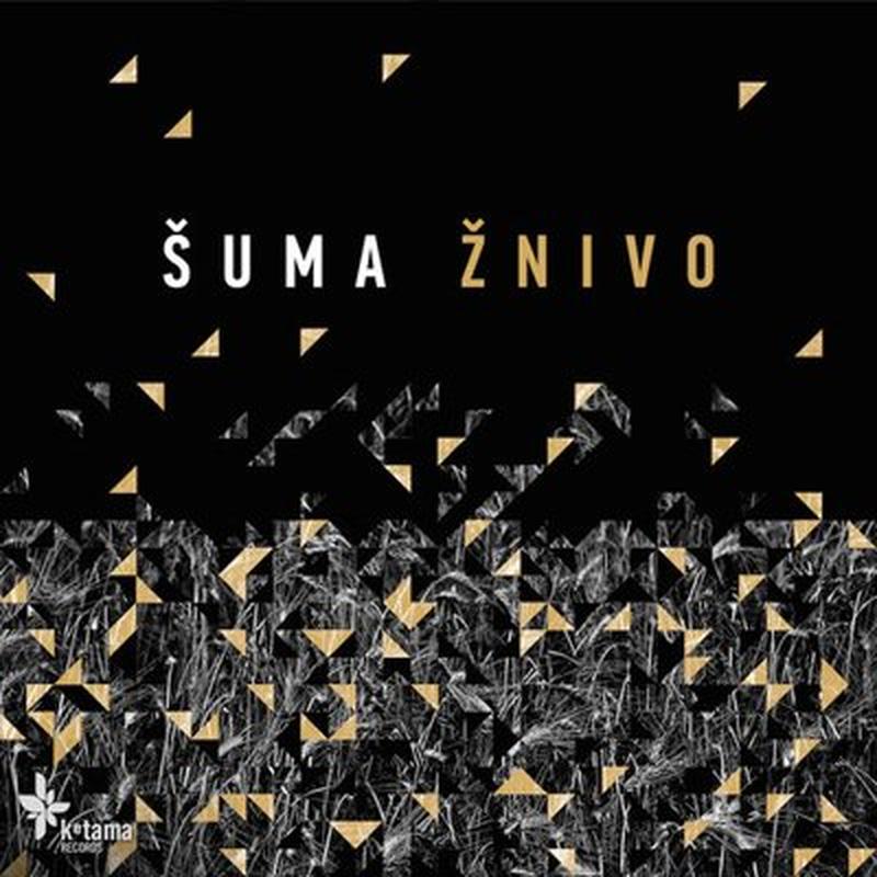 У чыстым полі cover art
