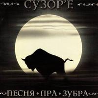 Песня пра зубра cover