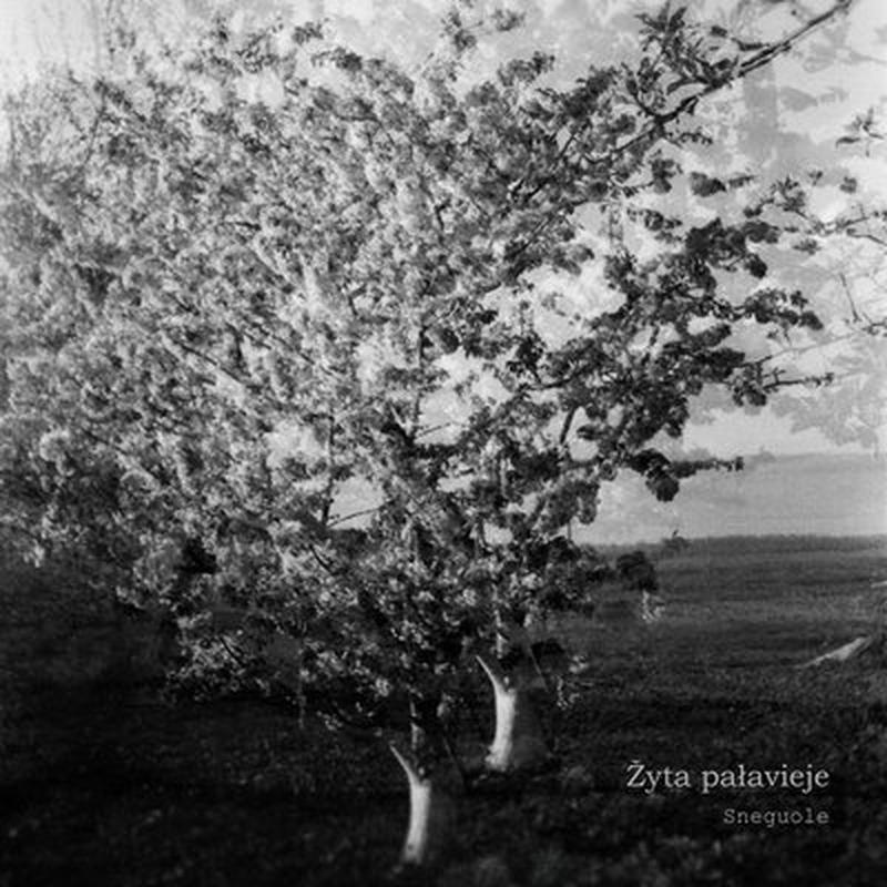 Oj ty žavoronko cover art
