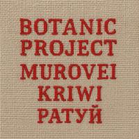 Ратуй cover