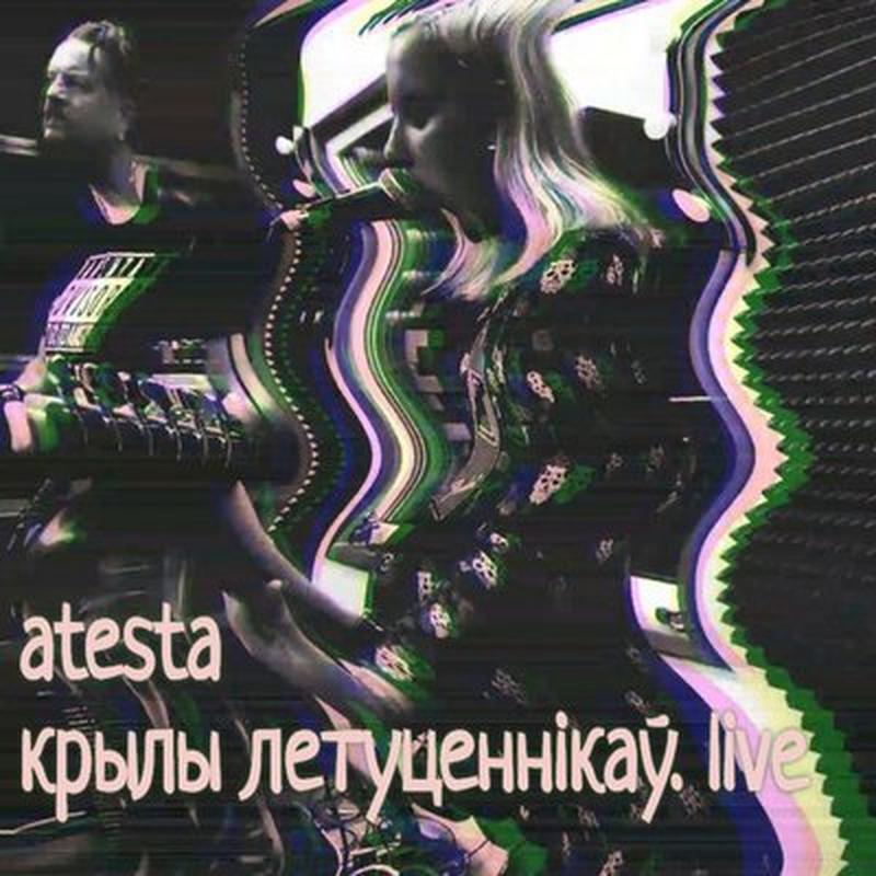 Крылы летуценнікаў - Live cover art
