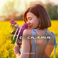 Не спяшы cover