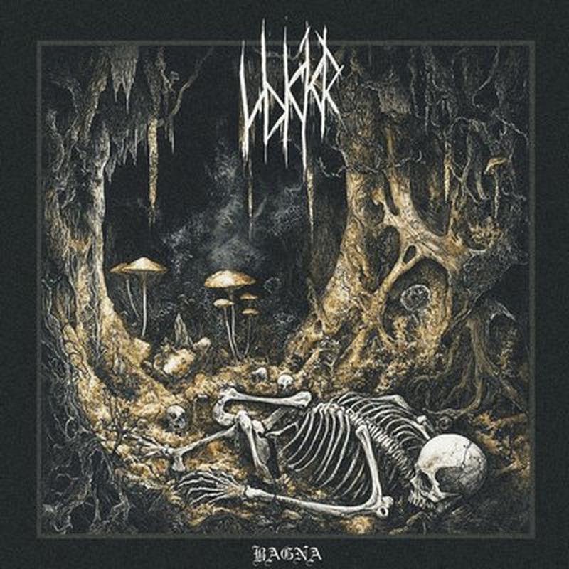 Bagna cover art