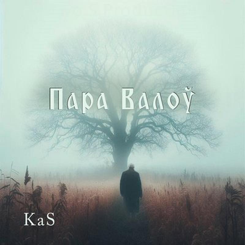 Пара валоў cover art