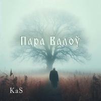 Пара валоў cover