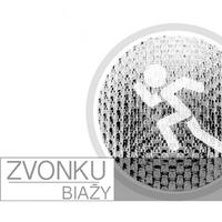 Biazhy cover